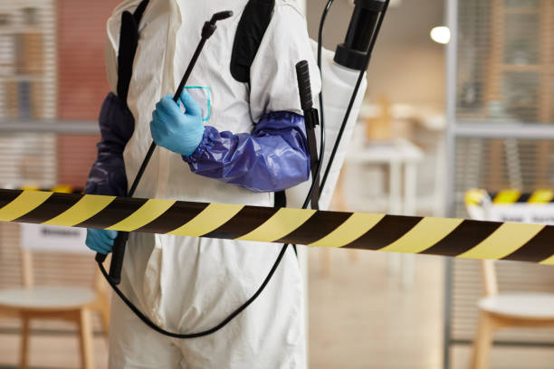 Professional Sewage Cleanup technician working in Pepeekeo, HI